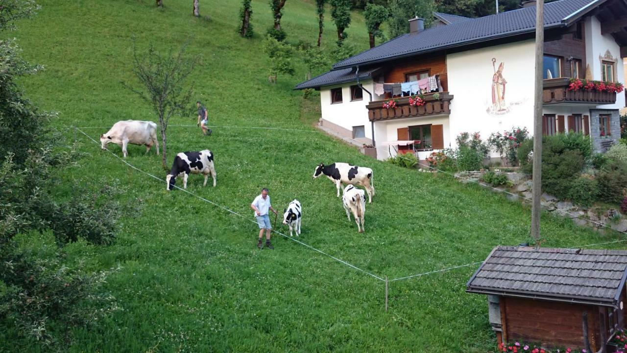 Apartmán Musikhof Lexer Liesing Exteriér fotografie